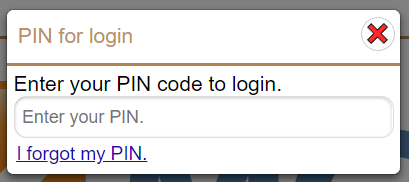 Login Pin Prompt